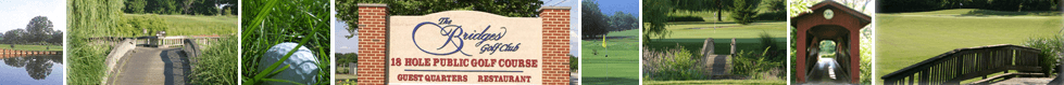 page_banner